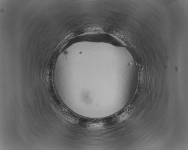 X0000067910263200605041651