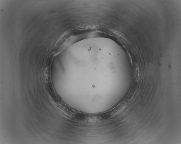 X0000067910264200605041651