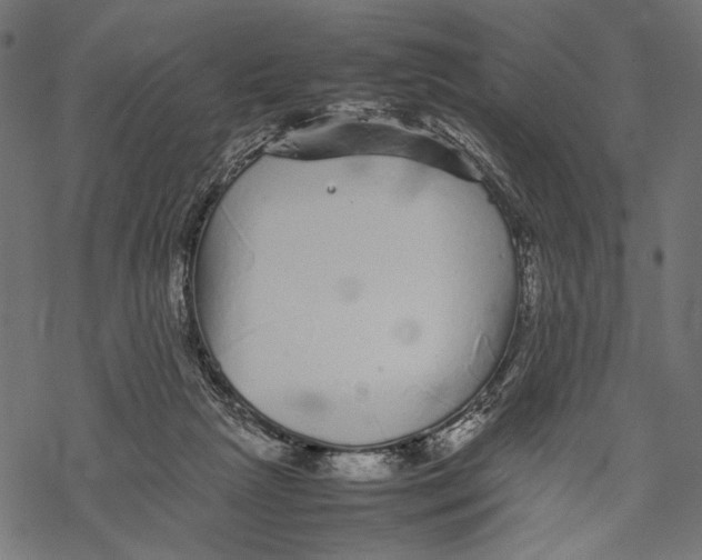 X0000067910265200605041651