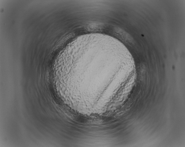 X0000067910266200605041651