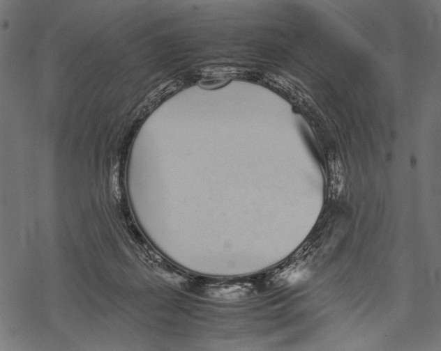 X0000067910267200605041651