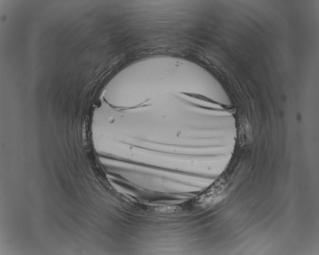 X0000067910268200605041651