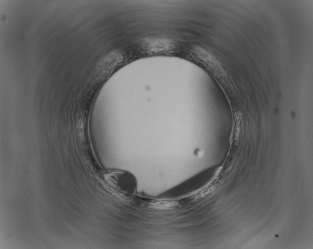 X0000067910269200605041651