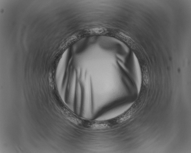 X0000067910270200605041651