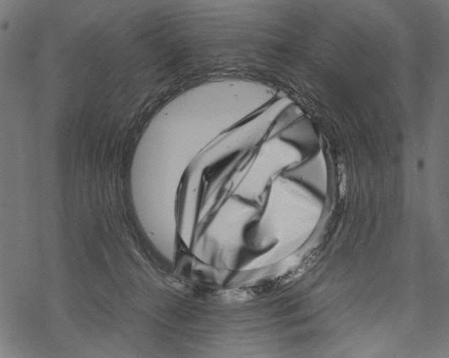 X0000067910272200605041651