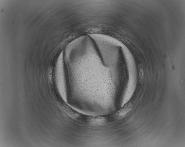 X0000067910274200605041651