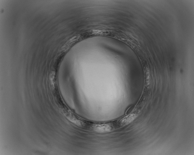 X0000067910275200605041651