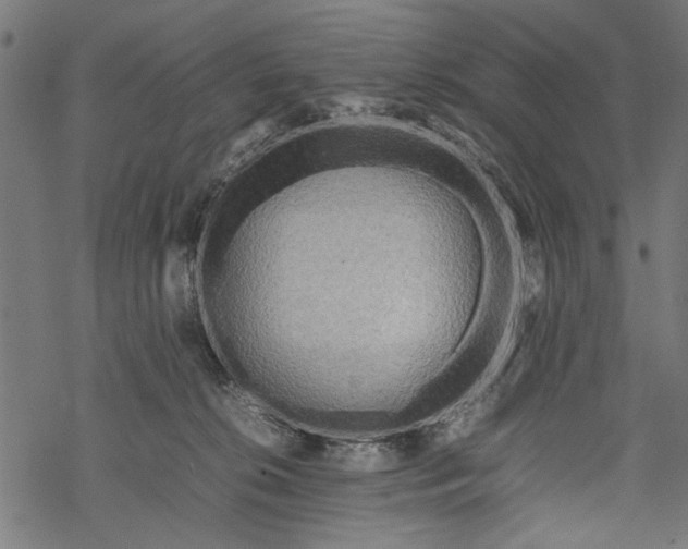 X0000067910276200605041651