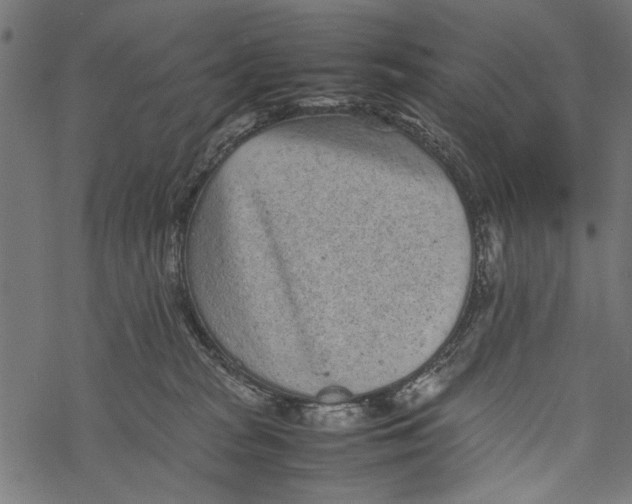 X0000067910277200605041651