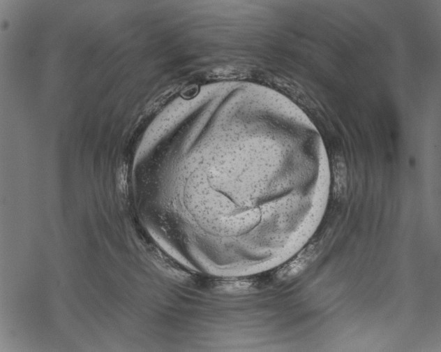 X0000067910278200605041651