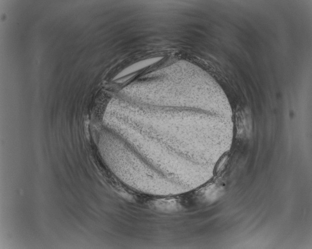 X0000067910279200605041651