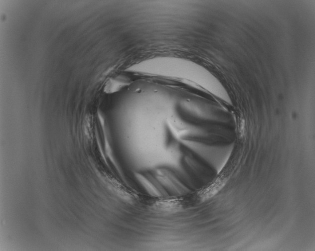 X0000067910280200605041651