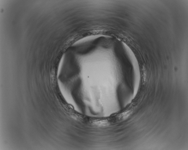 X0000067910283200605041651