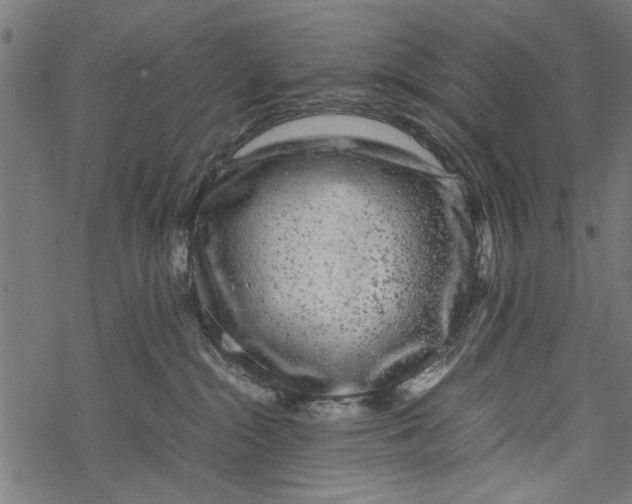 X0000067910284200605041651