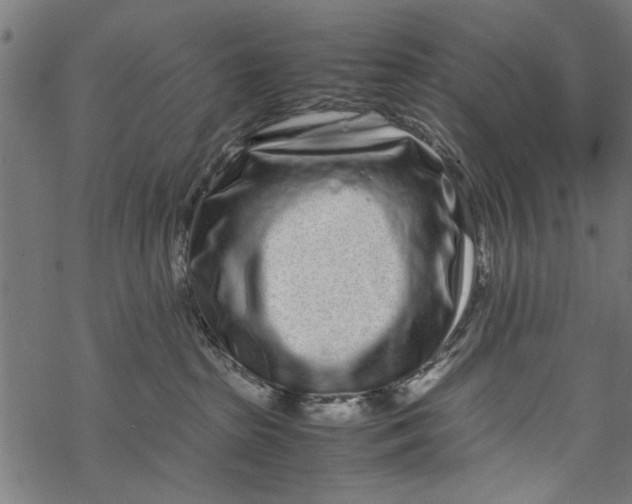 X0000067910285200605041651