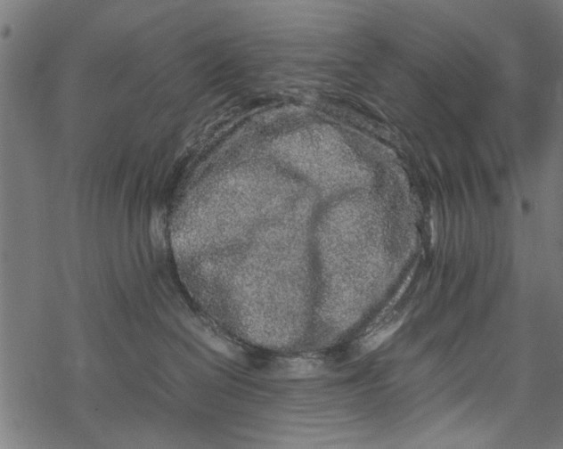 X0000067910286200605041651