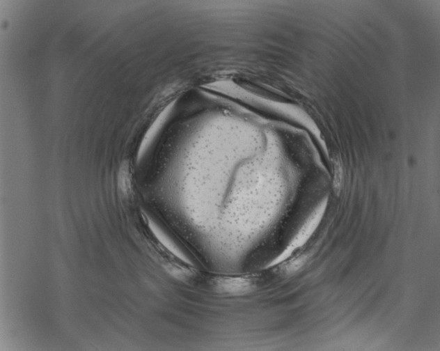 X0000067910287200605041651