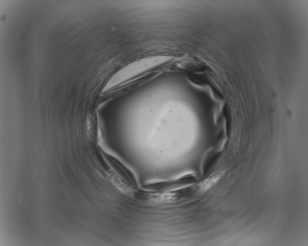 X0000067910288200605041651