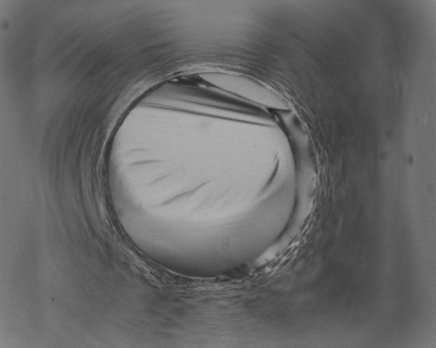 X0000067910289200605041650