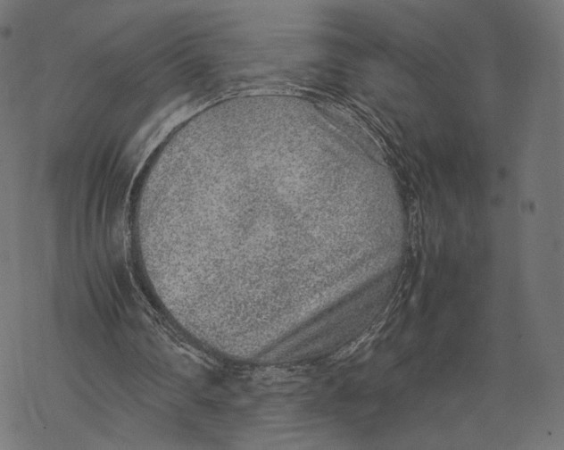 X0000067910290200605041650