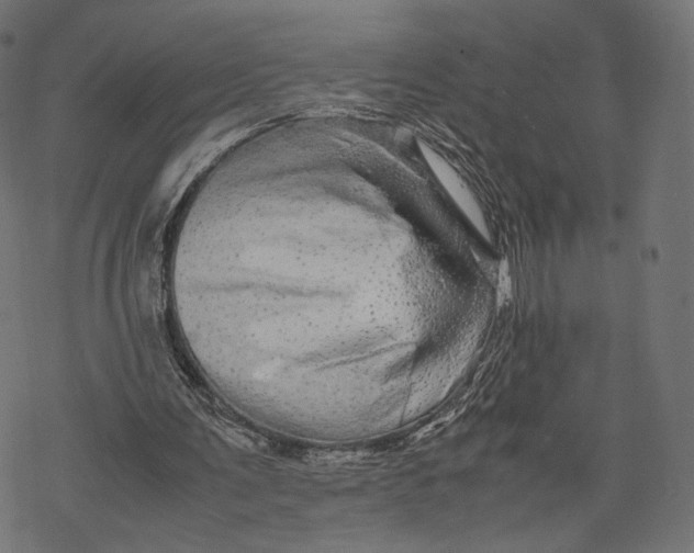 X0000067910291200605041650