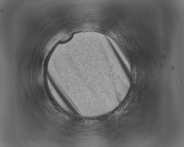 X0000067910292200605041650