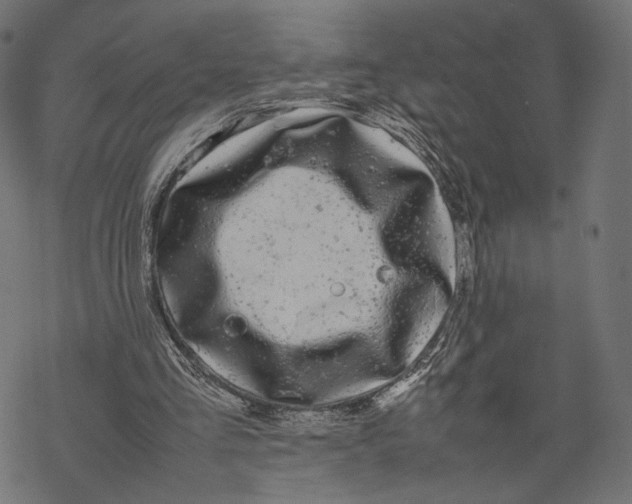 X0000067910293200605041650