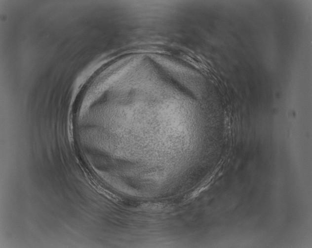 X0000067910294200605041650