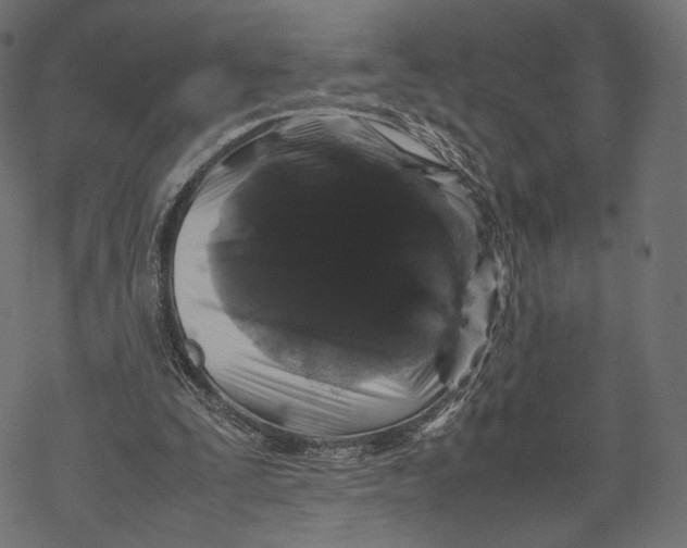 X0000067910295200605041650