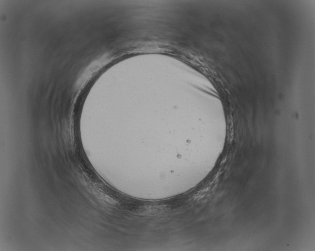 X0000067910296200605041650