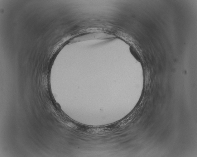 X0000067910297200605041650