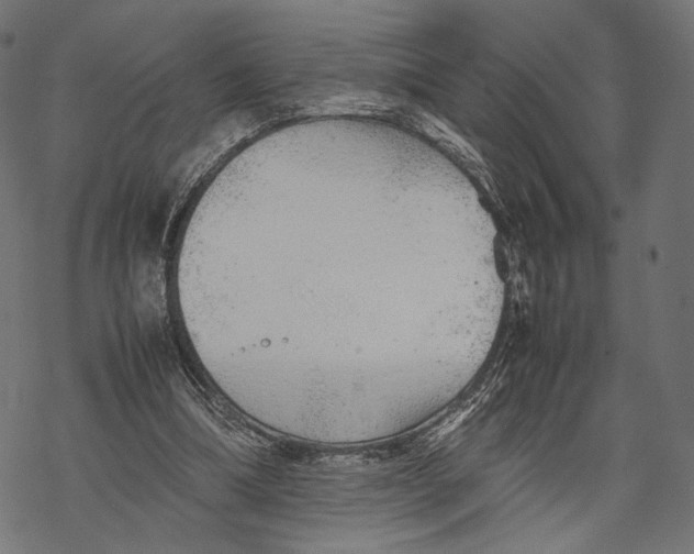 X0000067910298200605041650