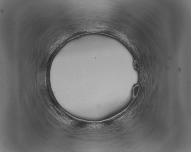 X0000067910299200605041650