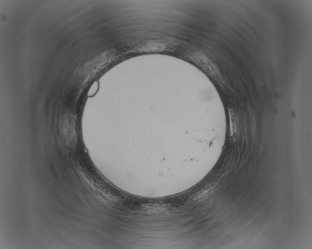 X0000067910300200605041650