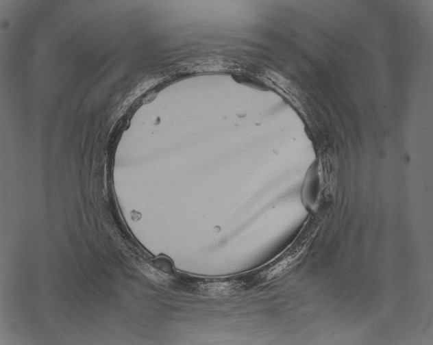 X0000067910301200605041650