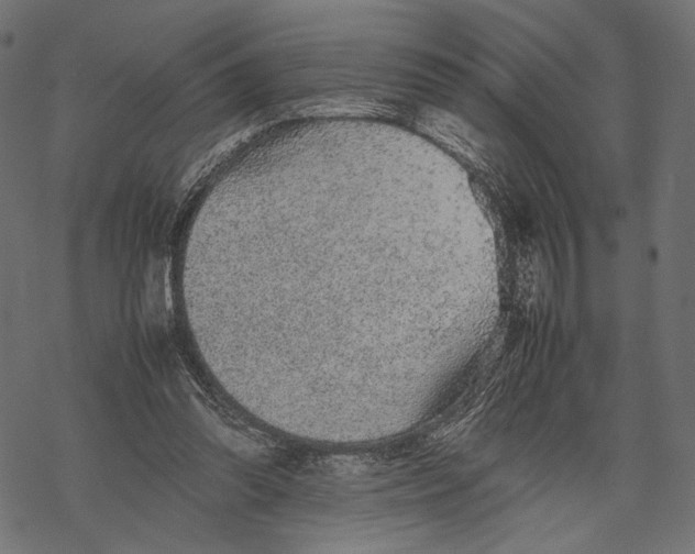 X0000067910302200605041650