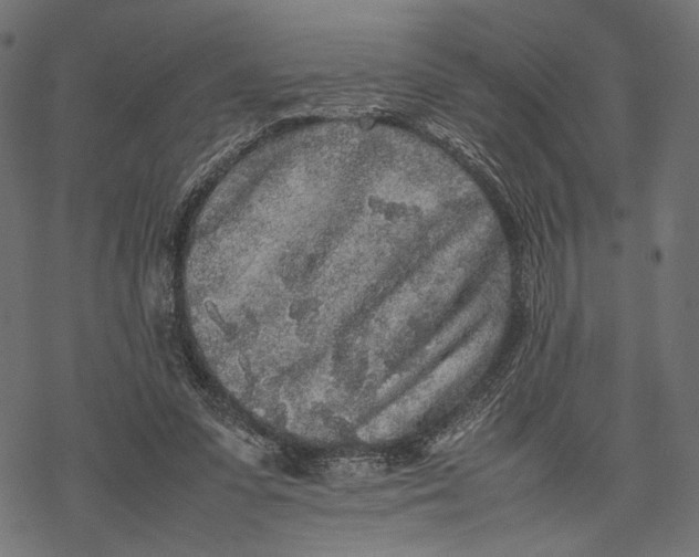 X0000067910303200605041650