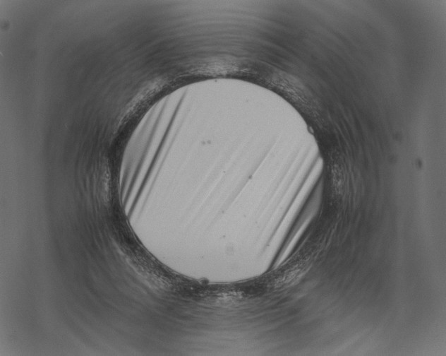 X0000067910304200605041650