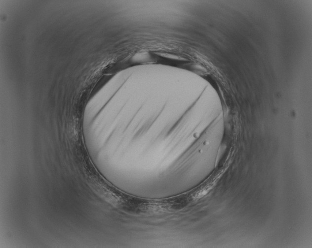 X0000067910305200605041650