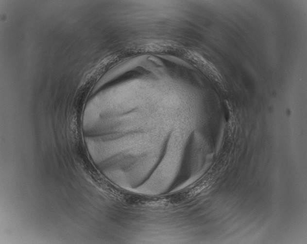 X0000067910306200605041650