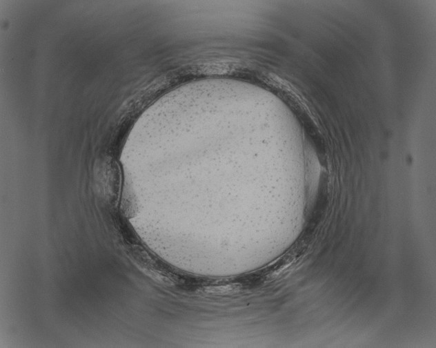 X0000067910307200605041650