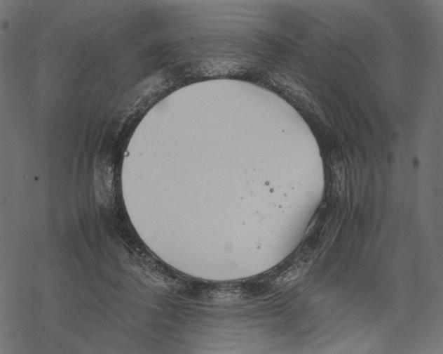 X0000067910308200605041650