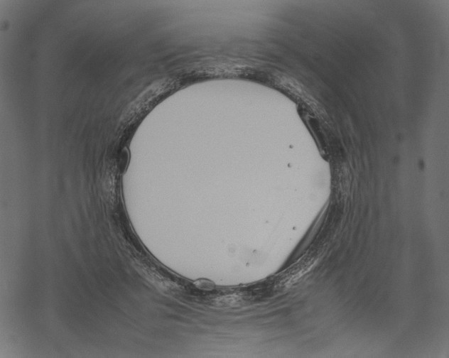 X0000067910309200605041650