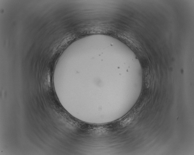 X0000067910310200605041650