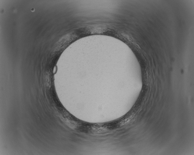 X0000067910311200605041650