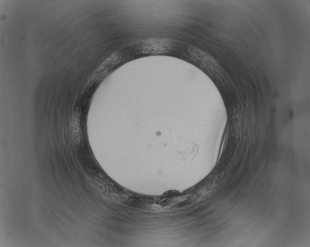 X0000067910312200605041650