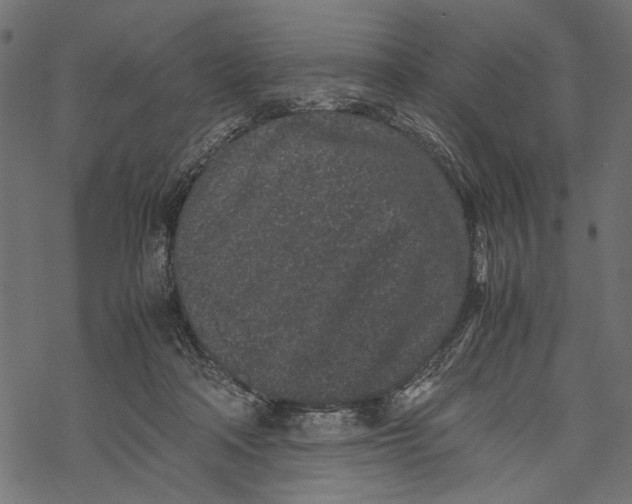 X0000067910314200605041650