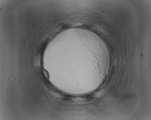 X0000067910315200605041650