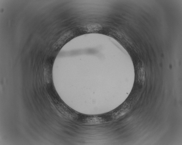 X0000067910316200605041650