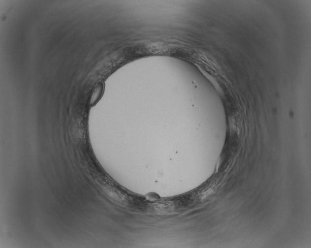 X0000067910317200605041650